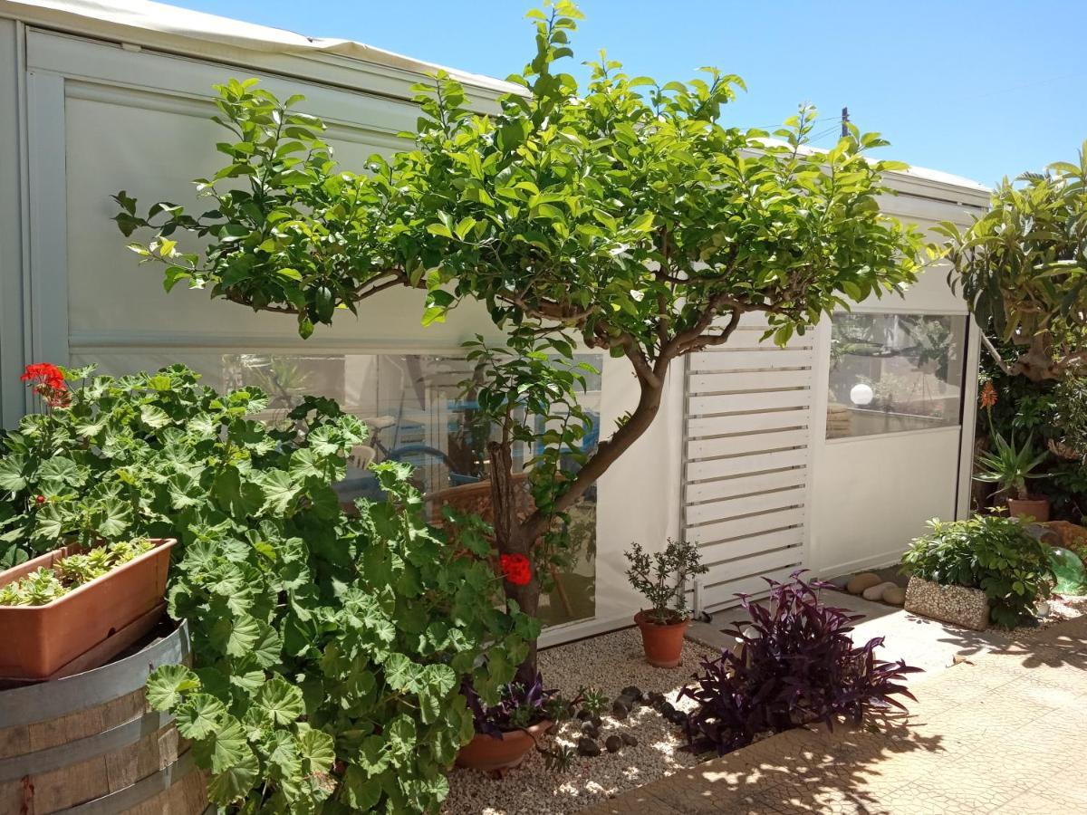 Villa Scavuzzo 레알몬테 외부 사진