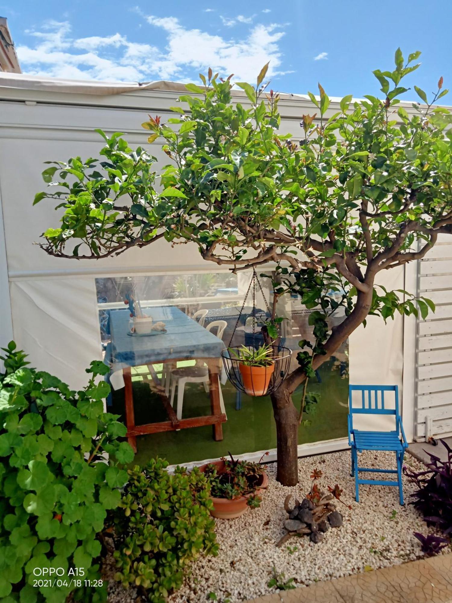 Villa Scavuzzo 레알몬테 외부 사진