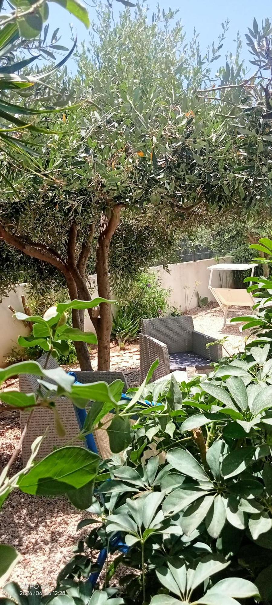 Villa Scavuzzo 레알몬테 외부 사진